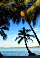 Kai Islands Indonesia